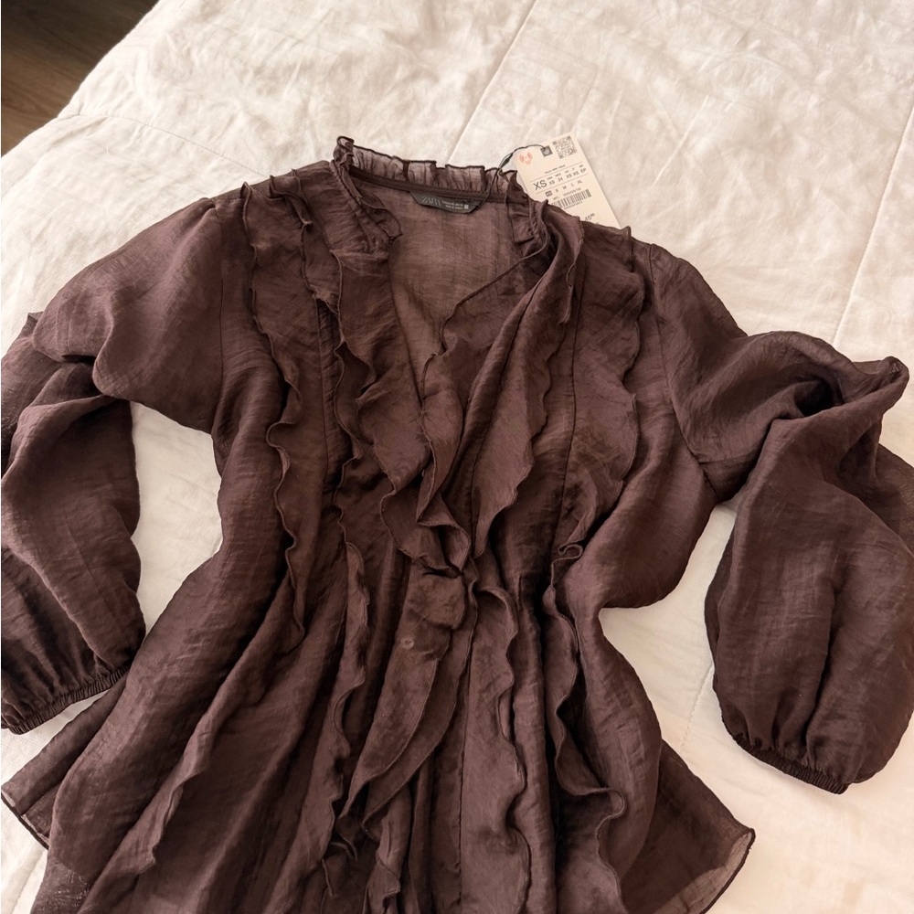Zara Brown Ruffled Long-Sleeve Blouse